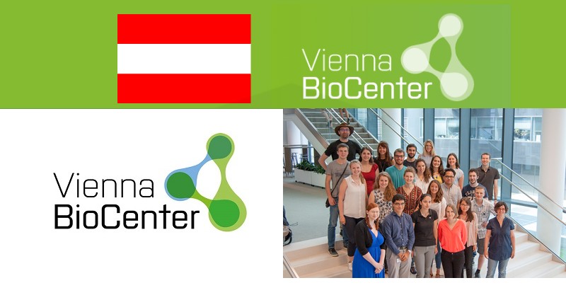 Vienna Biocenter Summer School 2024 in Austria | Fully Funded
